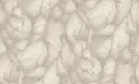 Dutch Wallcoverings Yudashkin 5 10X1,06M - Beige/Goud