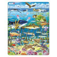 Selecta Larsen legpuzzel dieren - zeedieren in de noord-atlantische oceaan, 60st.