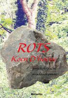 Rots - Koen D'haene - ebook
