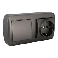 Dubbele Stopcontact + Schakelaar Basis Solera Mural 2p+t 250 V 16 A Grafiet