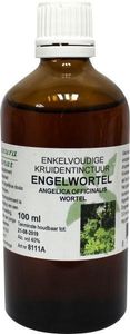 Natura Sanat Angelica officinalis/engelwortel tinctuur bio (100 ml)