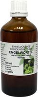 Natura Sanat Angelica officinalis/engelwortel tinctuur bio (100 ml) - thumbnail