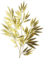 Bamboo spray gold 98cm - Nova Nature - thumbnail
