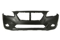 Bumper 5510006716900P