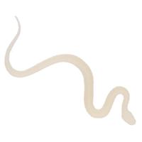 Plastic slangen ? 15 cm ? Reptielen ? Glow in the dark ? Decoratie