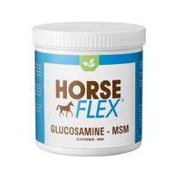 HorseFlex Glucosamine-MSM - 550 g - thumbnail