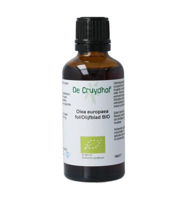 Olea europaea folia / olijfblad tinctuur bio