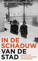 In de schaduw van de stad (Paperback)