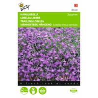 2 stuks Lobelia pendula Saphir - thumbnail