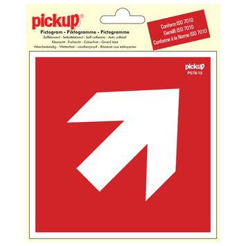 Pick picto richtingspijl 45g 150mm - Pickup