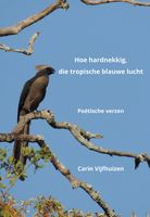 Hoe hardnekkig, die tropische blauwe lucht - Carin Vijfhuizen - ebook