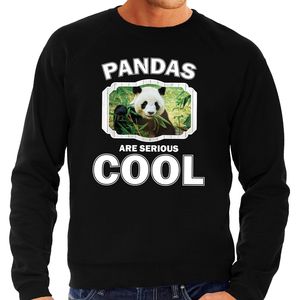 Sweater pandas are serious cool zwart heren - pandaberen/ panda trui 2XL  -