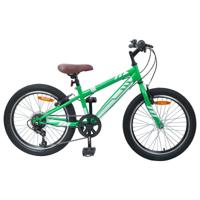 Mountainbike 20 Inch 6-Speed voor 5-8 jaar oud Groen