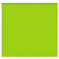 VidaXL Rolgordijn verduisterend 145x150 cm stofbreedte 141,6 cm