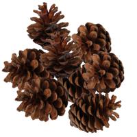 Decoratie dennenappels - 8x st - bruin - 6/7 cm - herfstdecoratie - kerstversiering