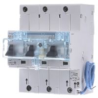 HTN350E  - Selective mains circuit breaker 3-p 50A HTN350E - thumbnail