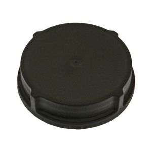 vorstplug 38142