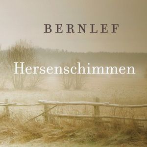 Hersenschimmen