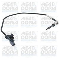 Sensor, uitlaatgastemperatuur 12510