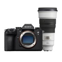 Sony A9 III + 300mm F/2.8 GM OSS