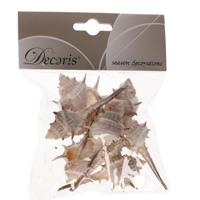 Decoris Decoratie schelpen Thorn - 6 cm - Natuurlijke schelpjes - Maritiem - strand thema