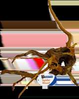 Superfish Spiderwood small