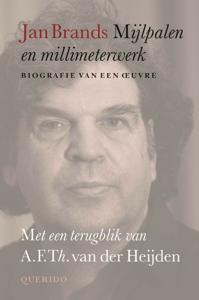 Mijlpalen en millimeterwerk (Hardback)