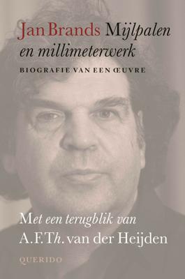 Mijlpalen en millimeterwerk (Hardback)