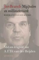 Mijlpalen en millimeterwerk (Hardback)