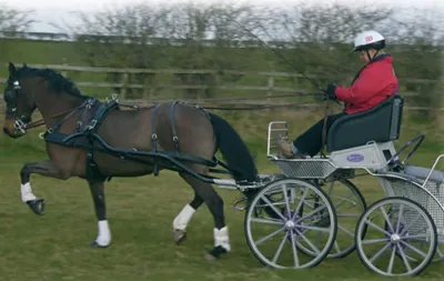 Ideal Euro-tech combi tuig enkelspan zwart maat:cob