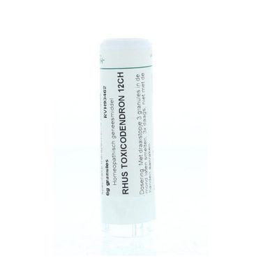 Rhus toxicodendron 12CH