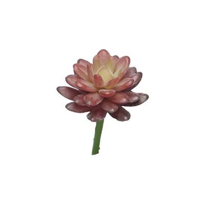 Kunst Sedum pick bordeaux - 16 cm - Nova nature
