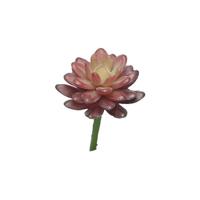 Kunst Sedum pick bordeaux - 16 cm - Nova nature