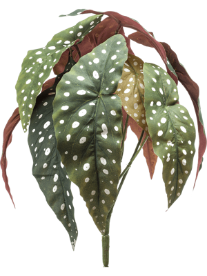 Begonia maculata bush 33 cm /12lvs kunstbloem zijde nepbloem - Emerald