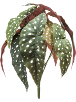 Begonia maculata bush 33 cm /12lvs kunstbloem zijde nepbloem - Emerald