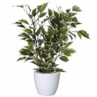 Mica Decorations Ficus kunstplant - groen - 40 cm - met plantenpot - wit - D13.5 en H12.5 cm