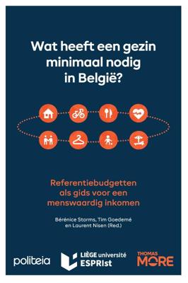 Wat heeft een gezin minimaal nodig? (Paperback)