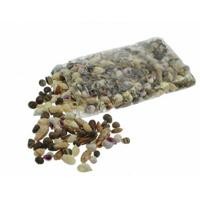 Kleine decoratie schelpen/schelpjes - zak van 2x kilo - mix kleuren - 1 a 4 cm