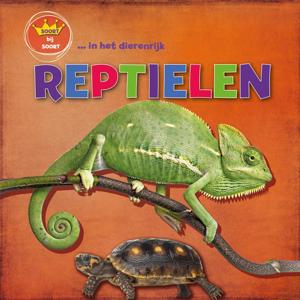 Reptielen (Hardback)