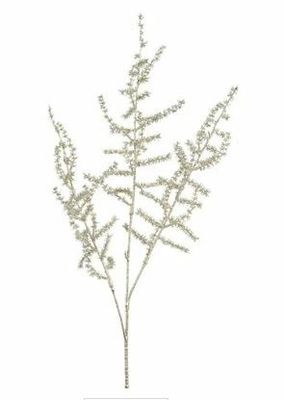 Asparagus metallic champagne