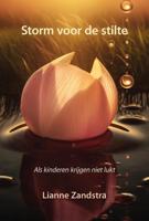 Storm voor de stilte (Paperback)