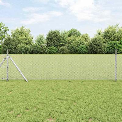 Hexagon Hek Zilver 0.4 x 100 m Gegalvaniseerd staal