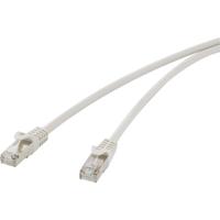 Renkforce RF-4541484 RJ45 Netwerkkabel, patchkabel CAT 5e F/UTP 0.25 m Grijs Snagless 1 stuk(s) - thumbnail