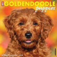 Goldendoodle Puppies Kalender 2026
