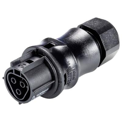 Wieland Electric X6.031.4053.1 Steekverbinder