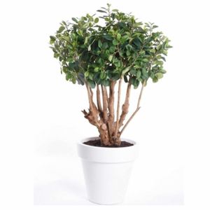 Nep ficus plant groen in pot kunstplant