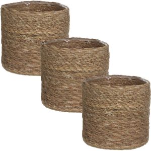 3x stuks naturel bruin rotan planten pot mand van gedraaid jute/riet H16 en D16 cm