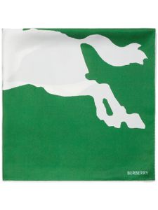 Burberry écharpe bicolore à logo imprimé - Vert