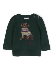 POLO RALPH LAUREN KIDS pull en coton mélangé à logo intarsia - Vert