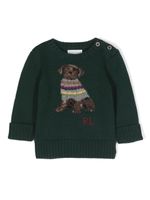 POLO RALPH LAUREN KIDS pull en coton mélangé à logo intarsia - Vert - thumbnail